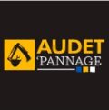 références client DIGITALL Conseil_Logo_AUDET