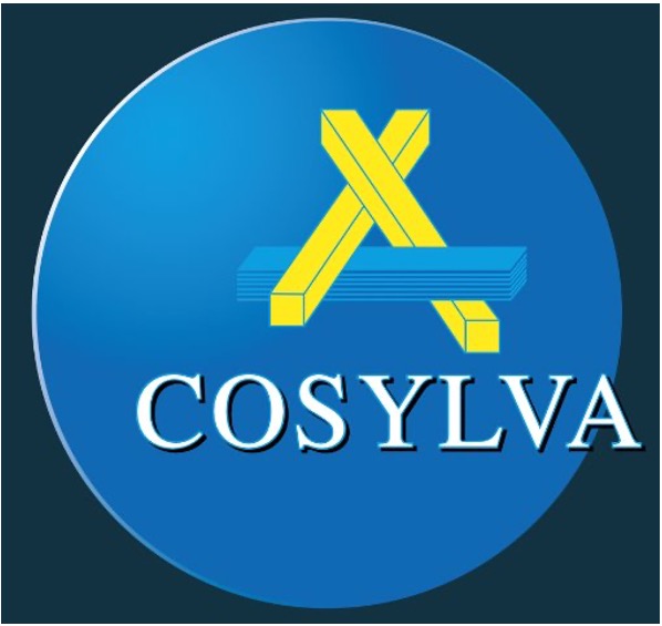 LOGO_COSYLVA